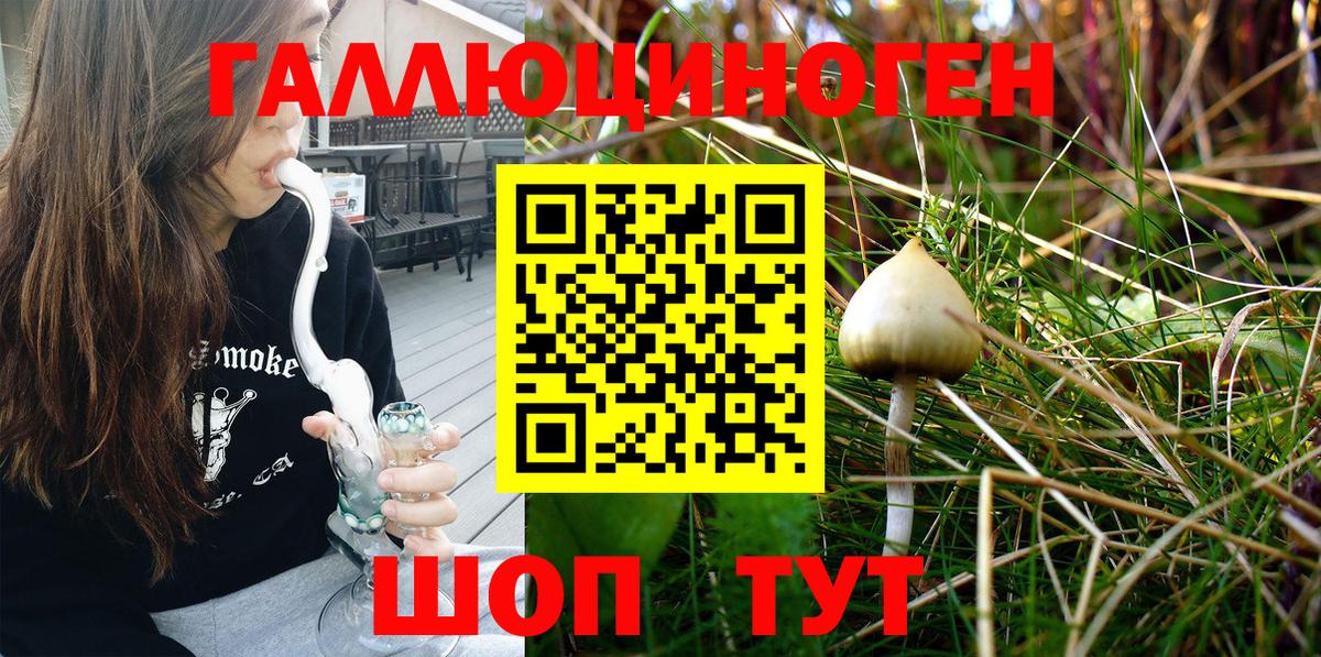 Псилоцибиновые грибы мухоморы Псков